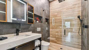 Shower, hair dryer