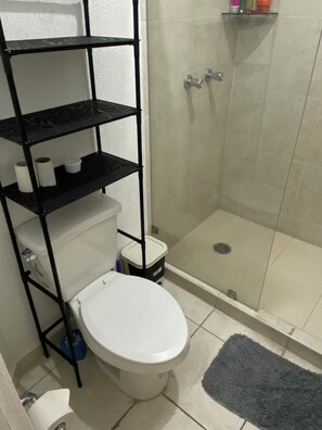 Shower, towels, toilet paper