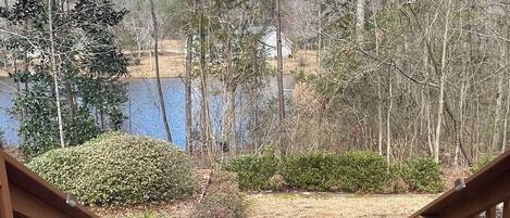 A wooden deck leading to a lake with trees and a grassy area.