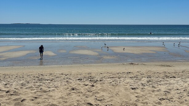A beach with footprints, a person standing, and birds on the sand. - Center of Everything Southern Maine… 3-bedroom house, huge yard in Buxton (Buxton)