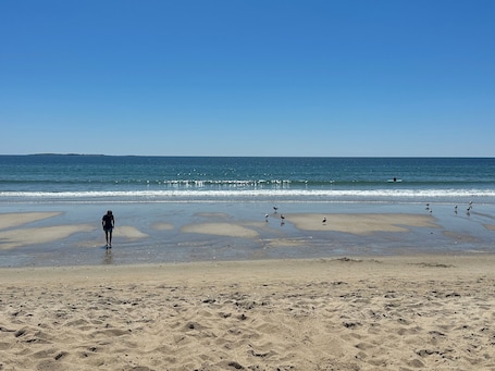 Beach. Center of Everything Southern Maine… 3-bedroom house, huge yard in Buxton