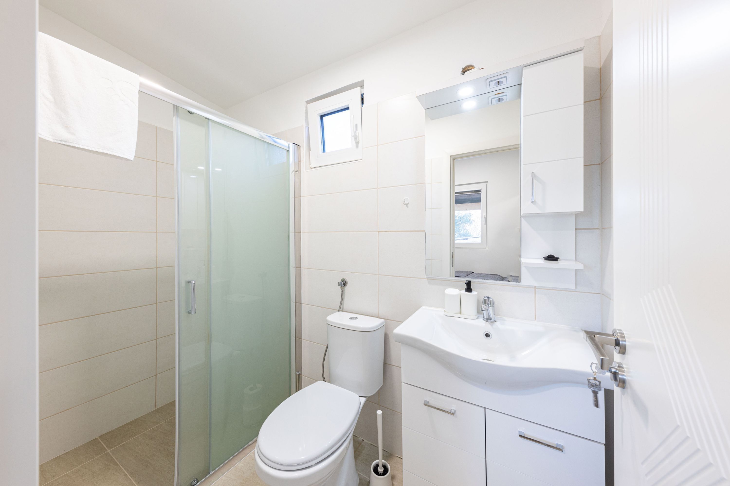 A modern bathroom with a glass shower enclosure, a toilet, a sink, and a mirror.