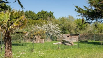 Terrein van de accommodatie