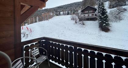 Awesome Apartment Near ski Slope