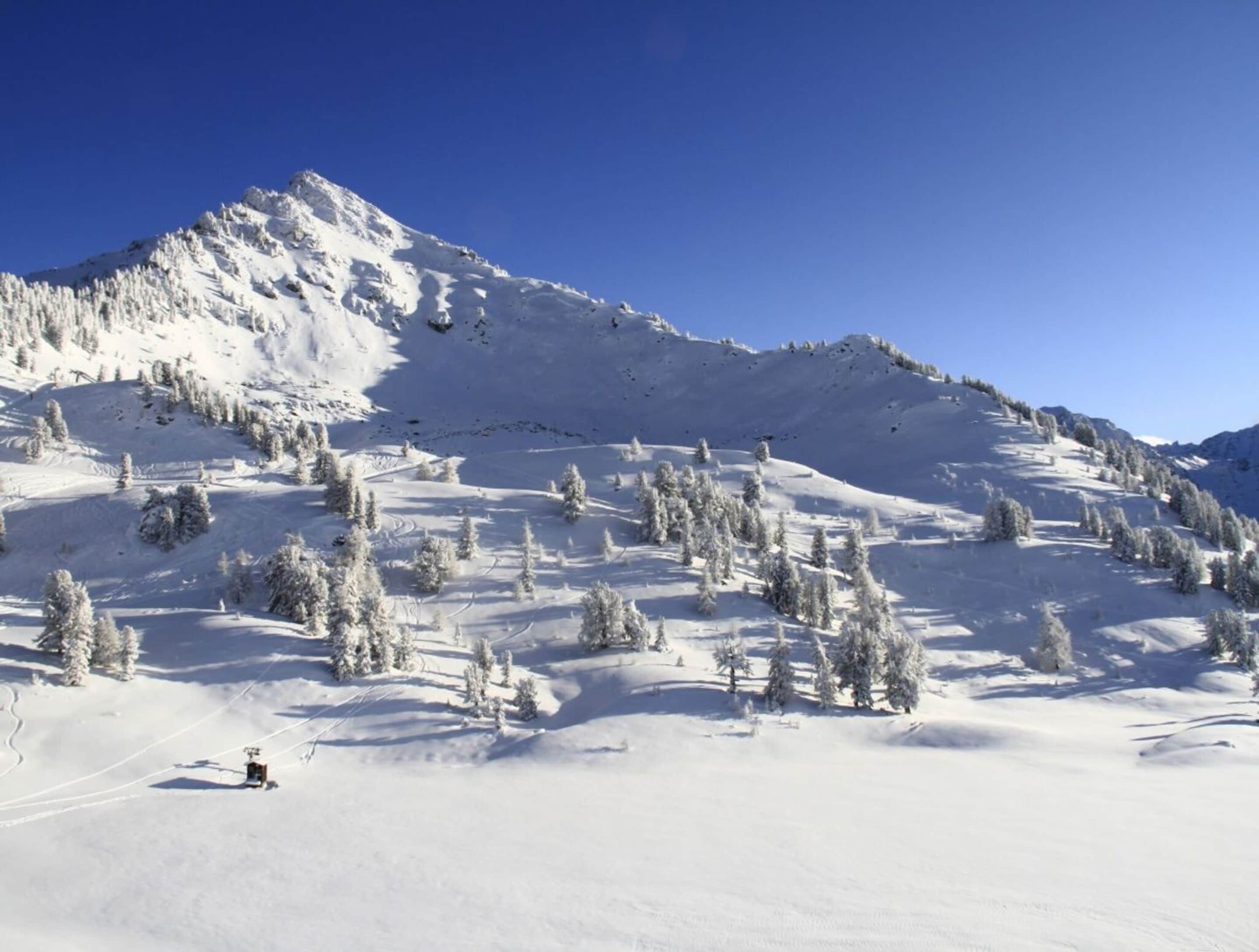 A snow-covered mountain with ski trails and trees.