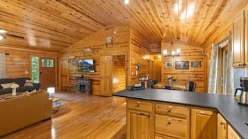 Een televisie, een open haard, een dvd-speler en boeken