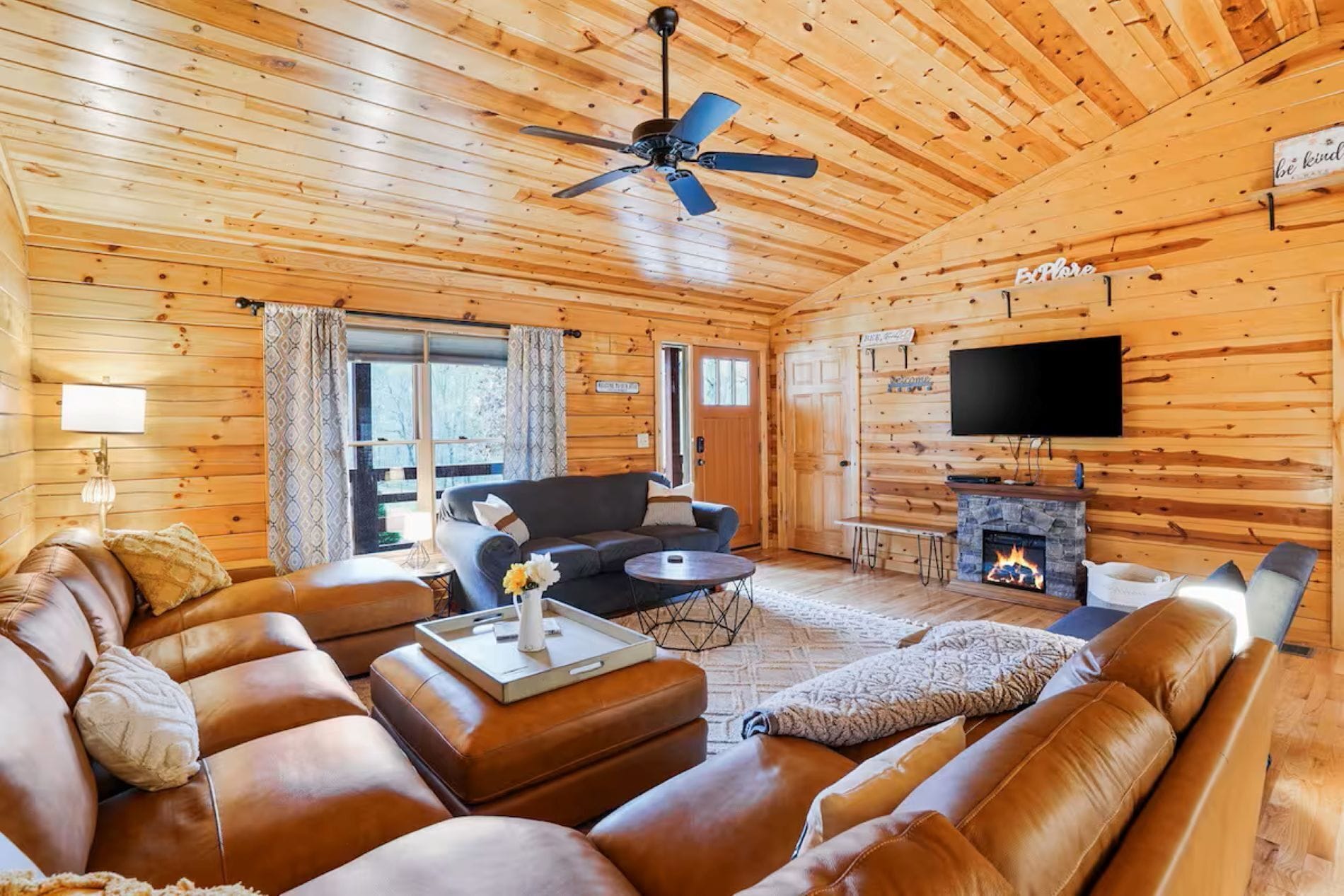 Télévision, cheminée, lecteur de DVD, livres