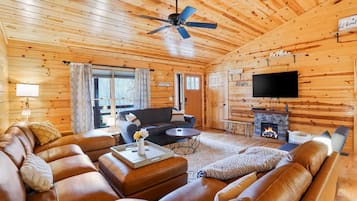 TV, fireplace, DVD player, books