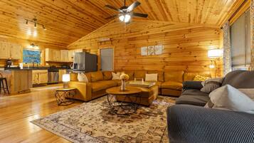 Een televisie, een open haard, een dvd-speler en boeken