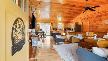 TV, fireplace, DVD player, books