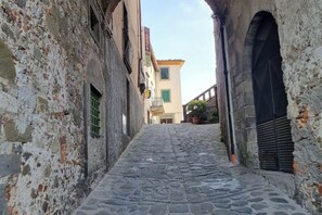 Property grounds - Charming Oasis in Tuscany: Historic Spaces with Private Jacuzzi (Coreglia Antelminelli)