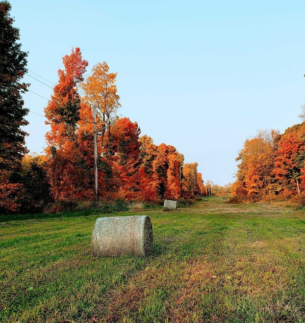 A rural landscape with autumn foliage, a hay bale, and a clear sky.