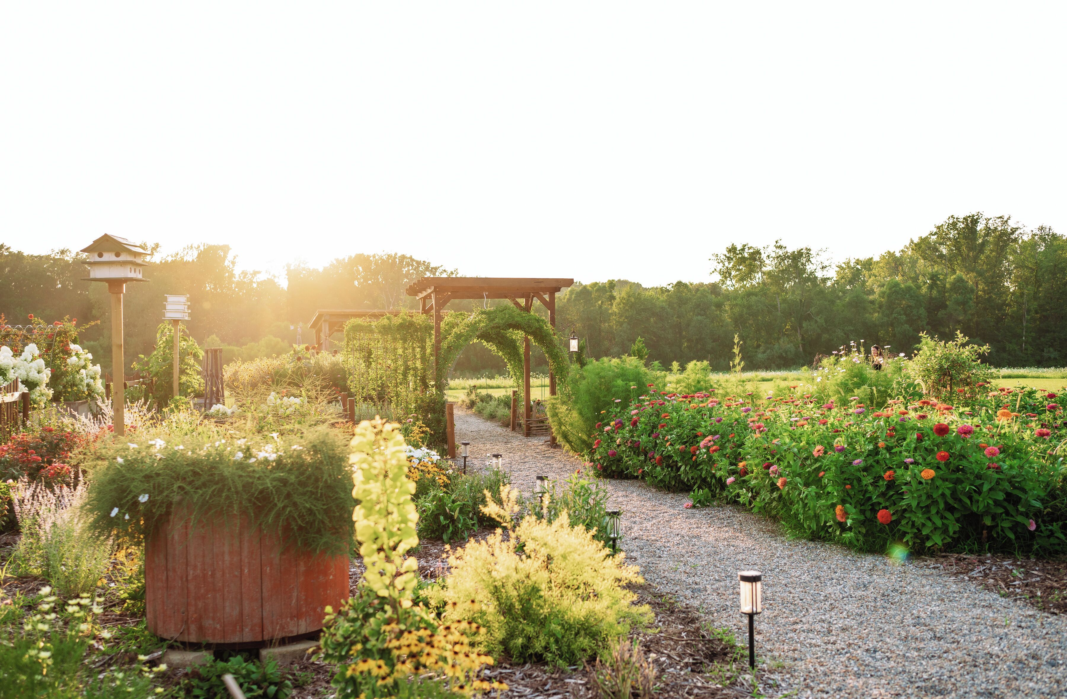 Overnattingsstedets uteområder