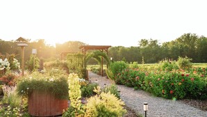 En trädgårdstig med en pergola av trä och olika blommande växter.