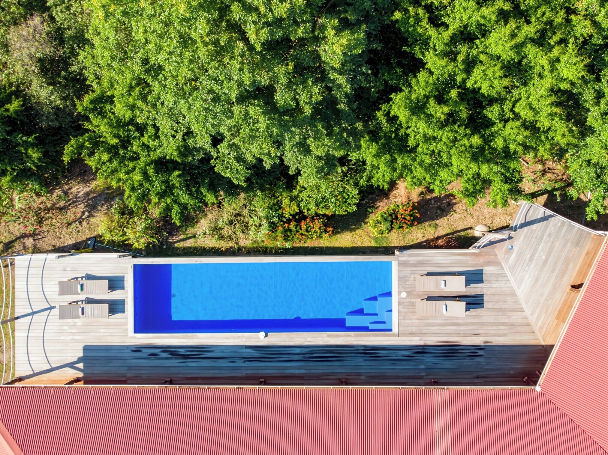 Vista aérea de una zona de piscina con muelle de madera y techo rojo, rodeada de abundante follaje verde.
