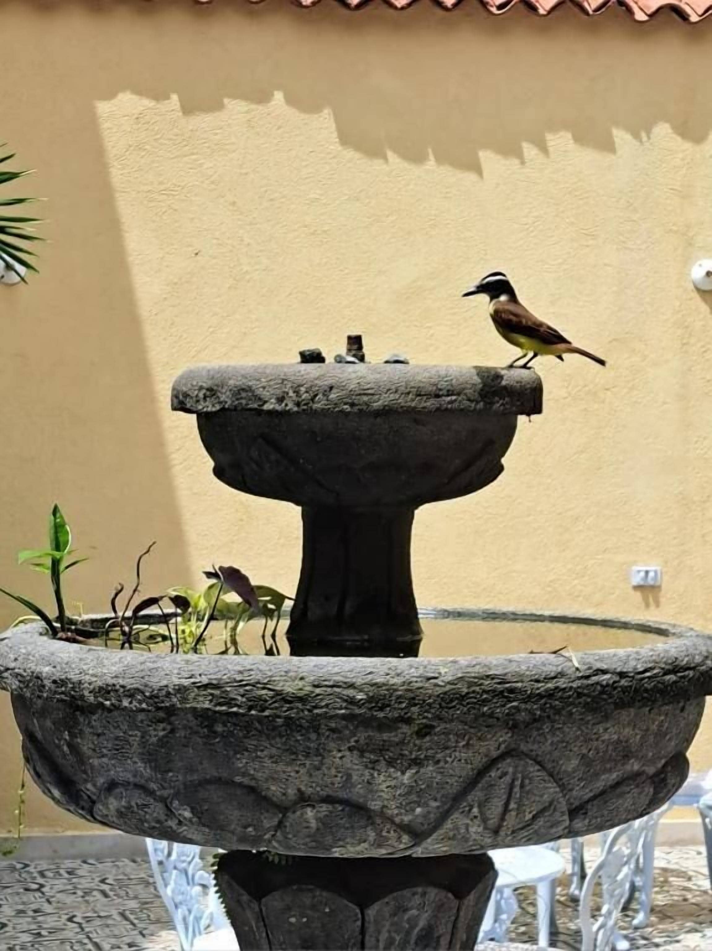 Foto - Casa Sileo - boutique Hotel