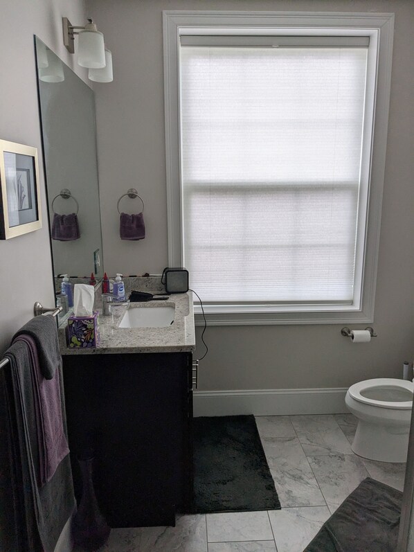 Hair dryer, towels, toilet paper - Charming 2-bedroom condo with WiFi, AC in pleasant Taunton only renting out a rm (Taunton)