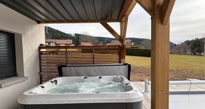 Chalet PLUME D'EAU - 11 pers - SWIMMING POOL/PETANQUE/BABY-FOOT - 10min from GERARDMER