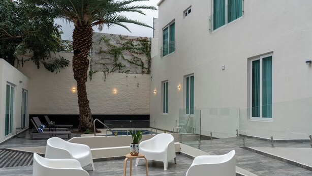 A modern outdoor seating area with white chairs, a palm tree, and a pool. - FCH Hotel Minerva-CAS (Guadalajara)