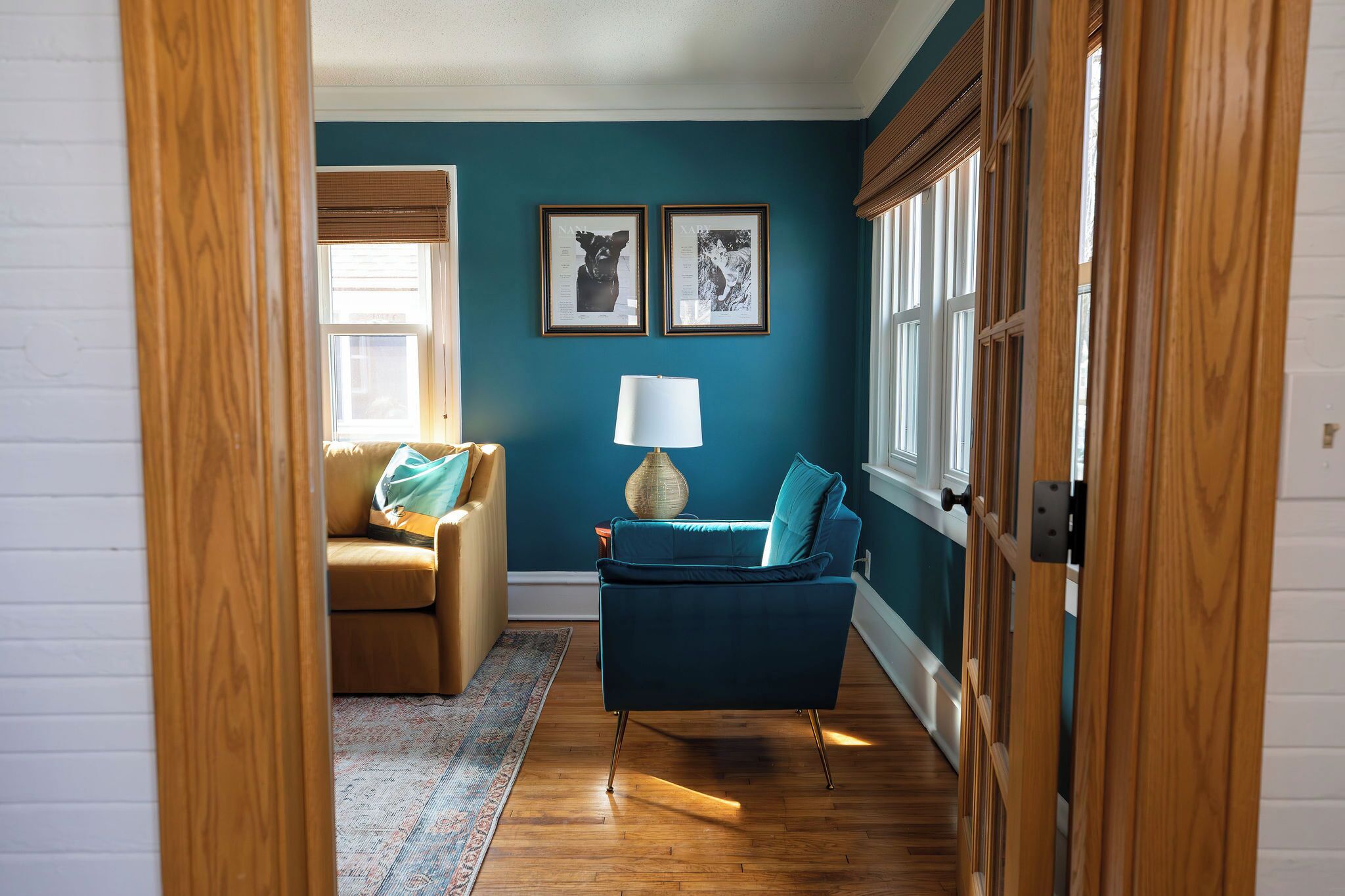 Televisión y libros 