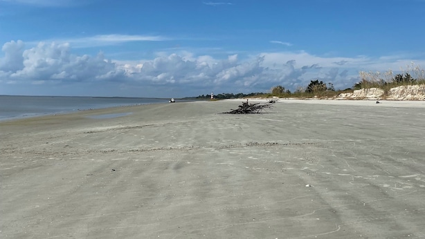 A wide, open beach with a clear sky and distant shoreline. - Walk to waterfront dining, shops, wine bar. 2 miles from I-95. No pet fee! (Darien)