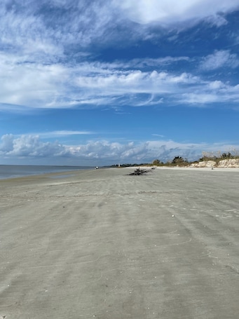 Beach. Walk to waterfront dining, shops, wine bar. 2 miles from I-95. No pet fee!