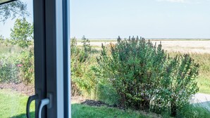 Vista attraverso una finestra su una zona erbosa con cielo sereno.