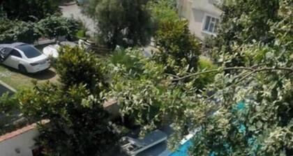 Lux Villa Ivan Budva