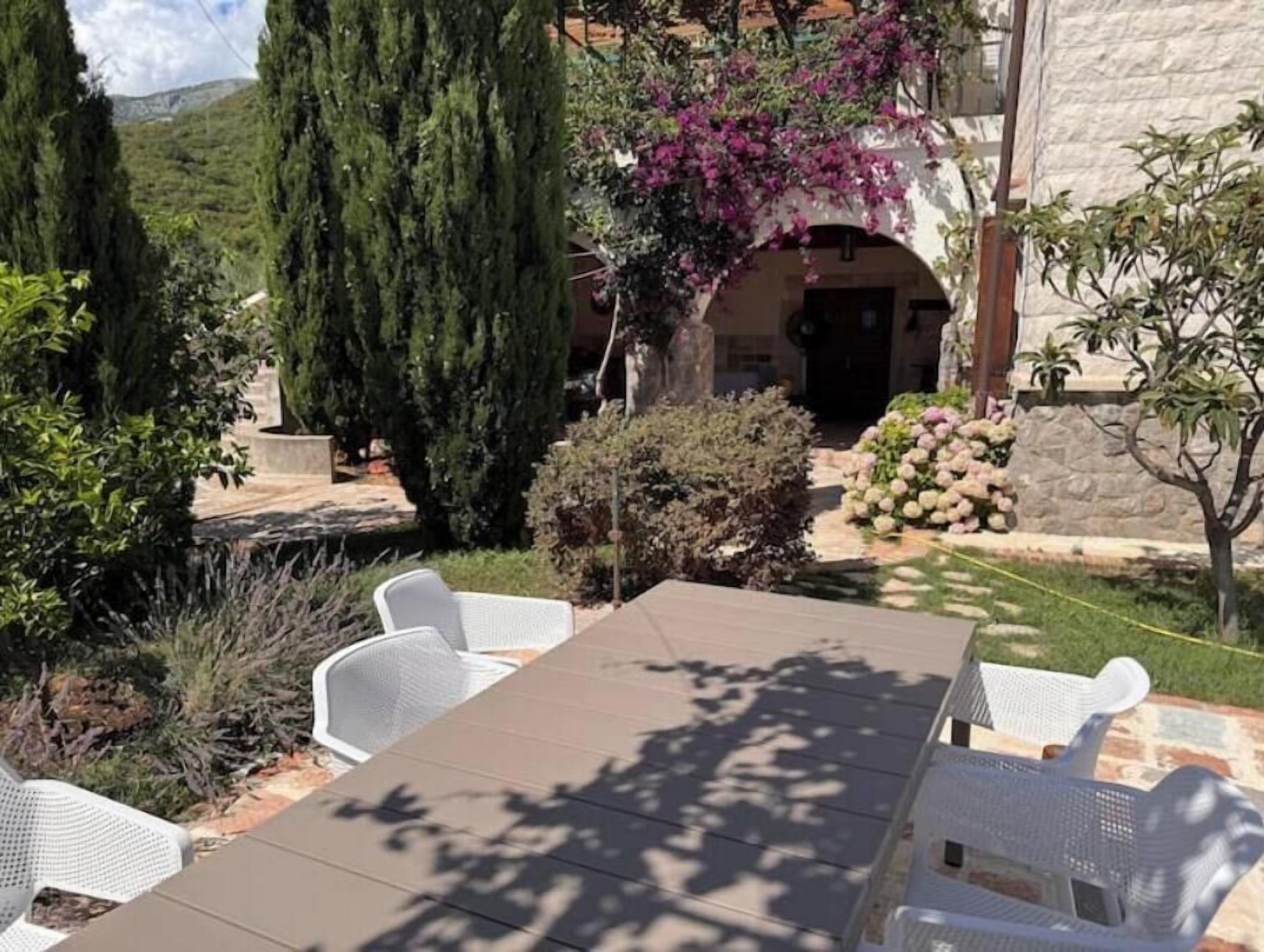 Une terrasse extérieure avec une table et des chaises, entourée de différentes plantes et arbres.