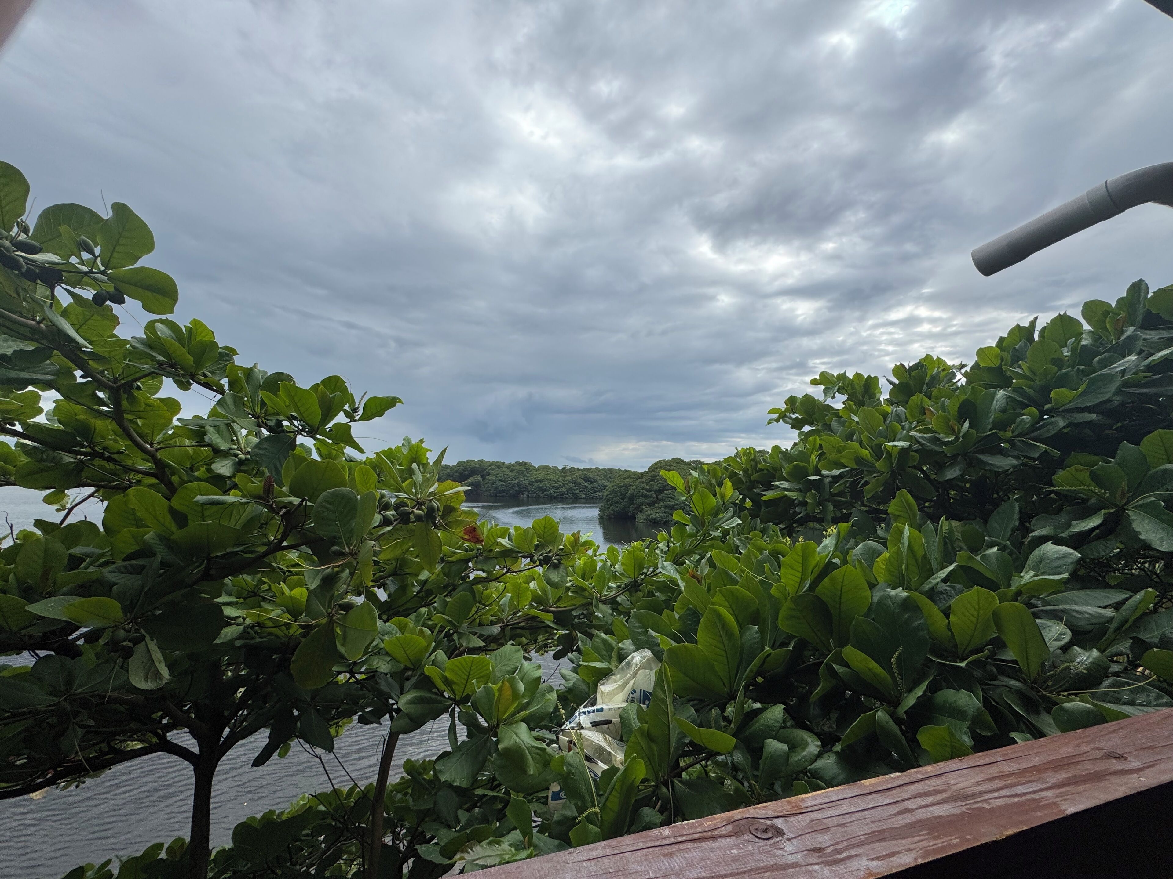 Terras