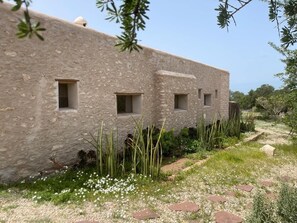 Área da propriedade