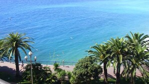 Blick auf die Küste mit blauem Meer, Palmen und einer Uferpromenade.