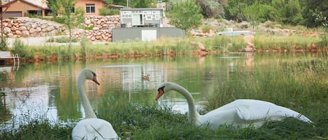 Boendeområde