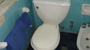 Haartrockner, Bidet, Handtücher, Seife