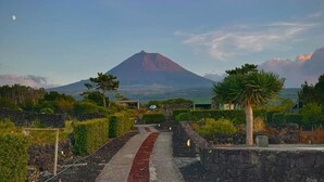 A pathway leading to a mountain with a view of a house and a palm tree. - Refúgio da Montanha (Sao Roque do Pico)