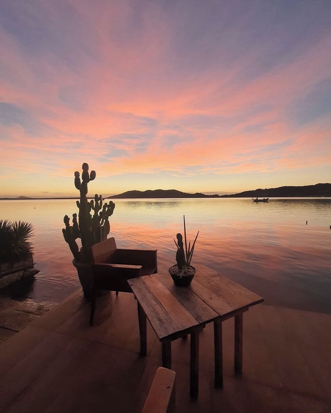 Vista del atardecer con un cactus y una mesa junto al agua.