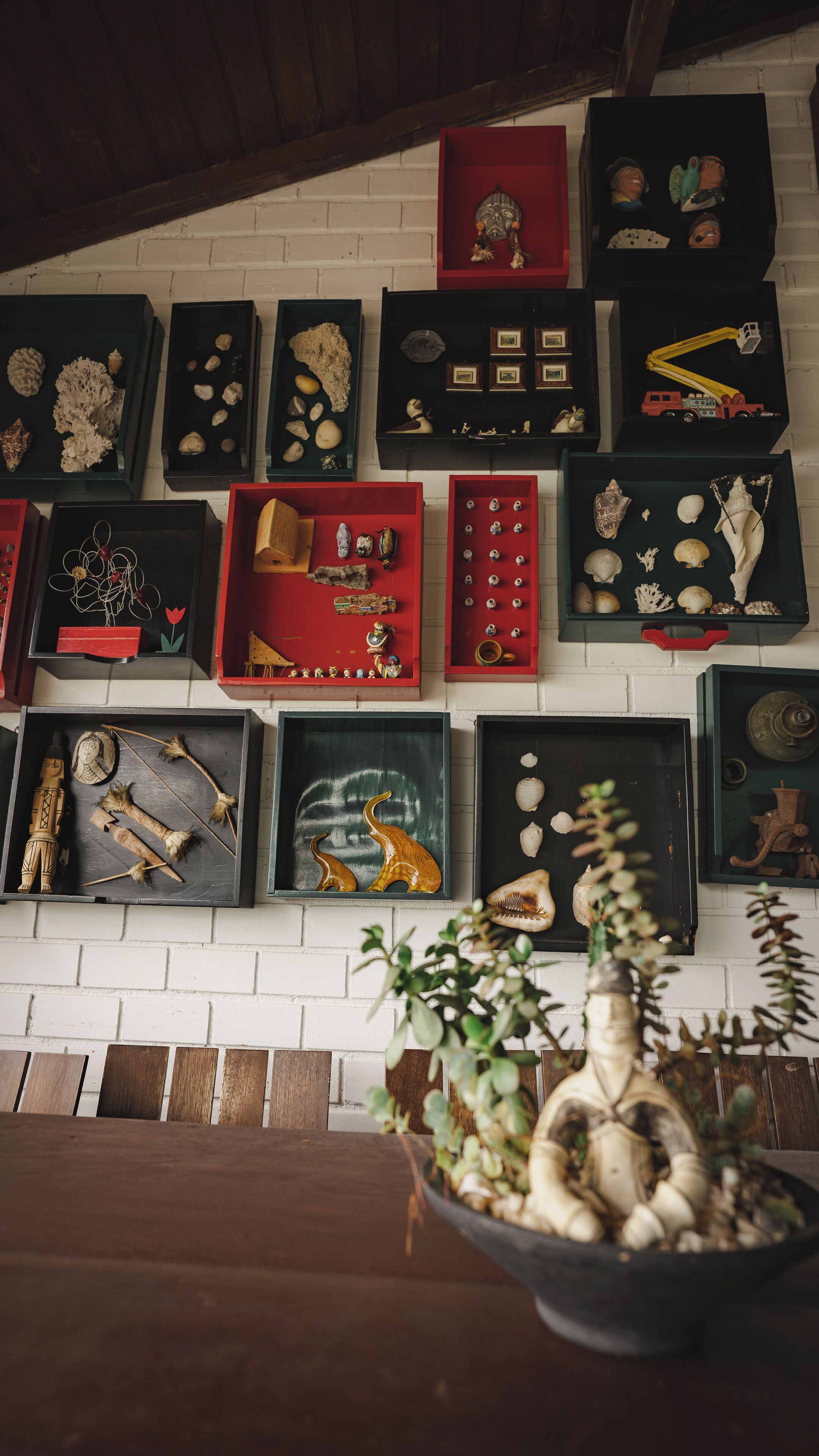 Un expositor mural con diversos artefactos y objetos de colección, incluyendo conchas marinas, figuritas y adornos.