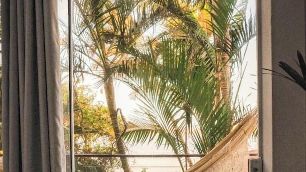 A room with a hammock, a bed, and a view of palm trees through a glass door.