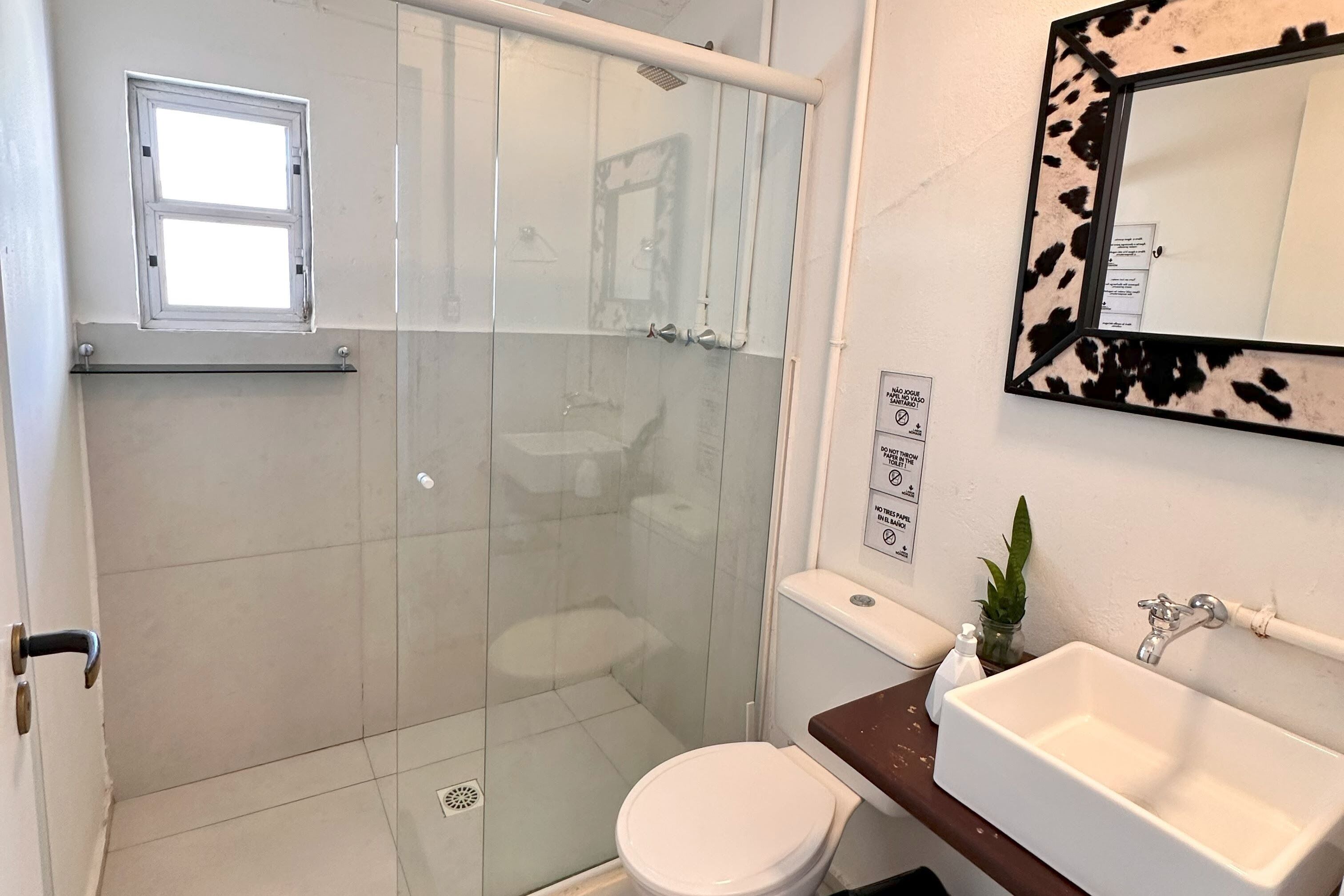 A bathroom with a glass-enclosed shower, a white toilet, a sink with a mirror, and a small plant on the counter.