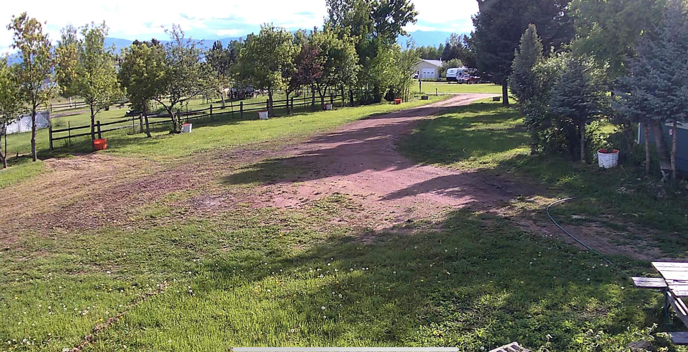 A grassy area with a dirt path, trees, and a fence.