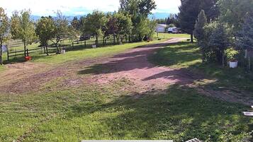 A grassy area with a dirt path, trees, and a fence.