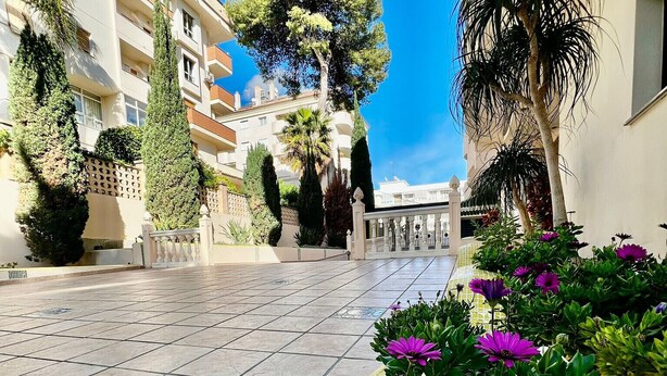 Une cour avec un sol carrelé, un arbre au centre et des fleurs violettes.