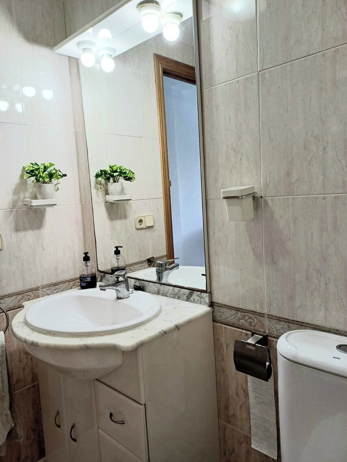 A bathroom with a white sink, a mirror, a toilet, and two potted plants on shelves.