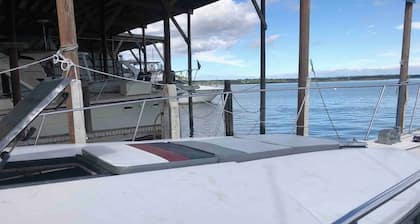 Downtown Nights on the Water - Classic Cruiser Getaway