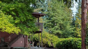 A wooden structure with a staircase leading to a covered area, surrounded by dense greenery and trees.
