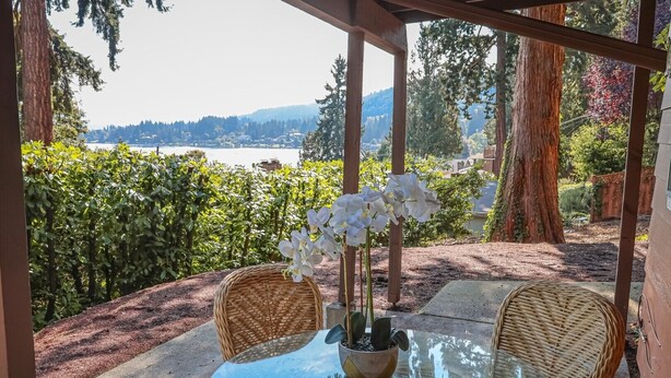 A glass table with wicker chairs and a potted plant, set in a covered outdoor area with a view of a lake and trees.