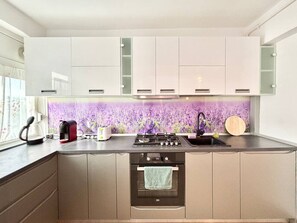 Fridge, oven, stovetop, dishwasher - Opera Lavendel. 2 Large rooms Center King-size bed (Timișoara)