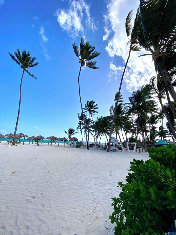Beach - Bibijagua Beach and Pool life RD (Punta Cana)