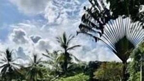 高级别墅, 2 间卧室, 私人游泳池, 花园景观 | 外观