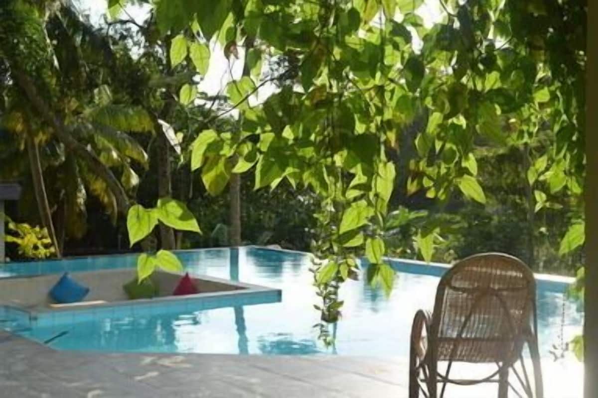 A pool area with a chair and cushions, surrounded by greenery.
